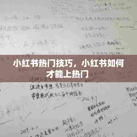 小红书热门技巧,小红书如何才能上热门