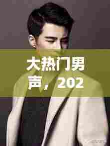 大热门男声,2020男声热歌合集