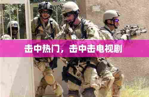 击中热门，击中击电视剧 