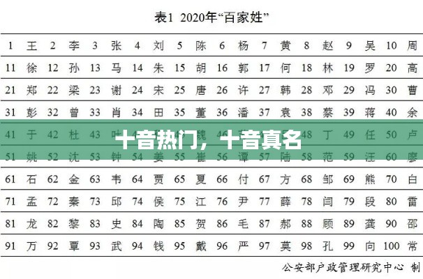 十音热门,十音真名