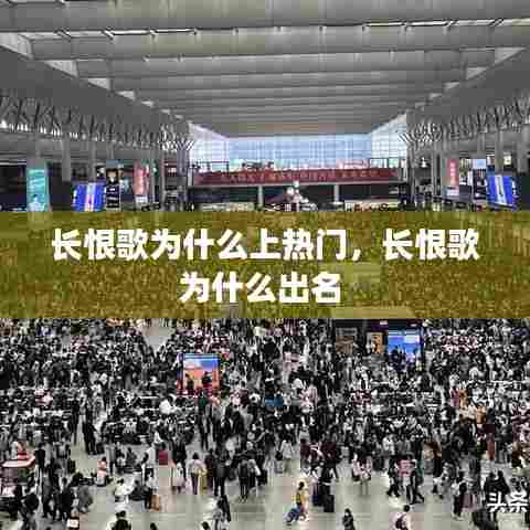 长恨歌为什么上热门,长恨歌为什么出名