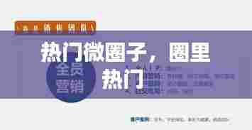 热门微圈子,圈里热门
