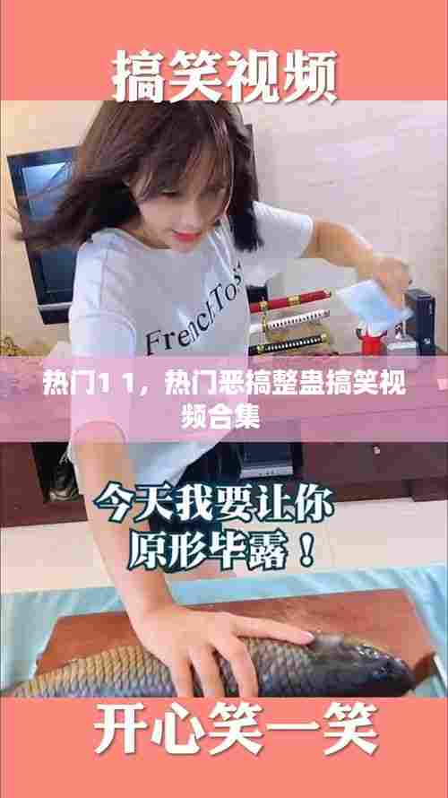 热门1 1,热门恶搞整蛊搞笑视频合集