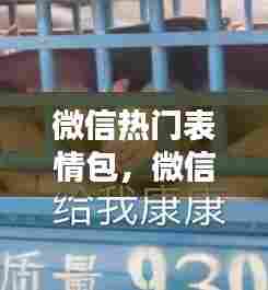 微信热门表情包,微信热门表情包名字