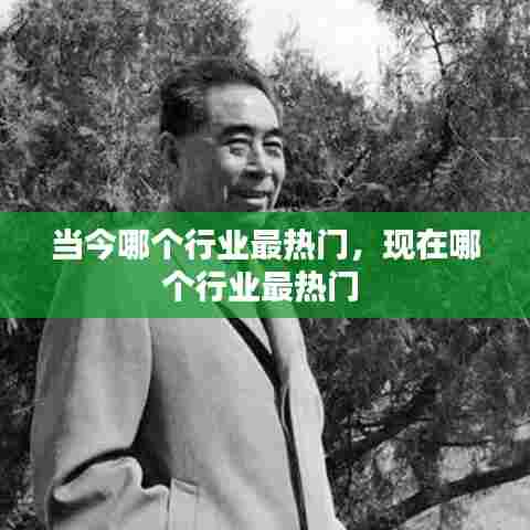 当今哪个行业最热门，现在哪个行业最热门 