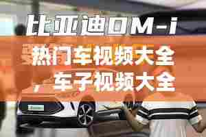 热门车视频大全,车子视频大全