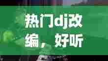 热门dj改编,好听的dj改编