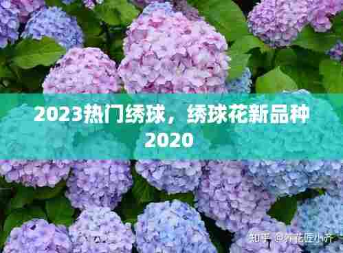 2023热门绣球,绣球花新品种2020