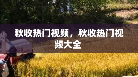 秋收热门视频，秋收热门视频大全 