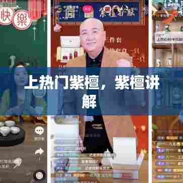 上热门紫檀，紫檀讲解 