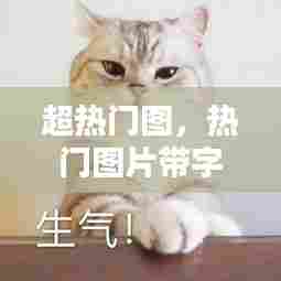 超热门图,热门图片带字可爱