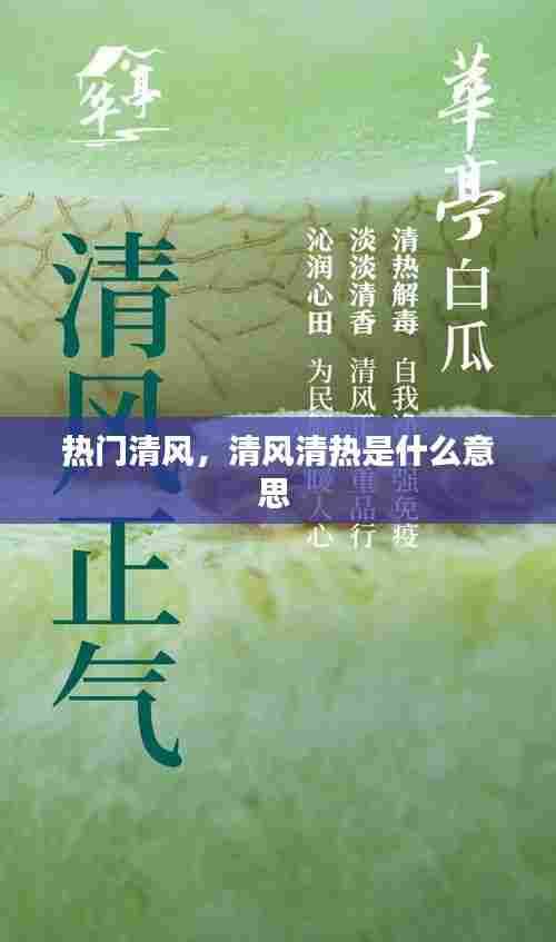 热门清风，清风清热是什么意思 