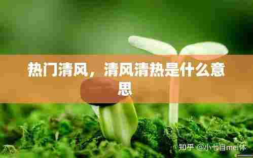 热门清风,清风清热是什么意思