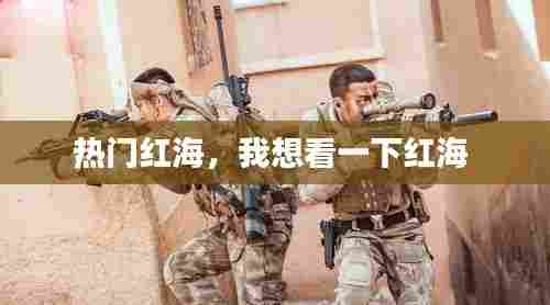 热门红海,我想看一下红海