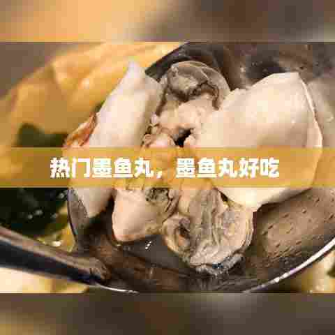 热门墨鱼丸，墨鱼丸好吃 