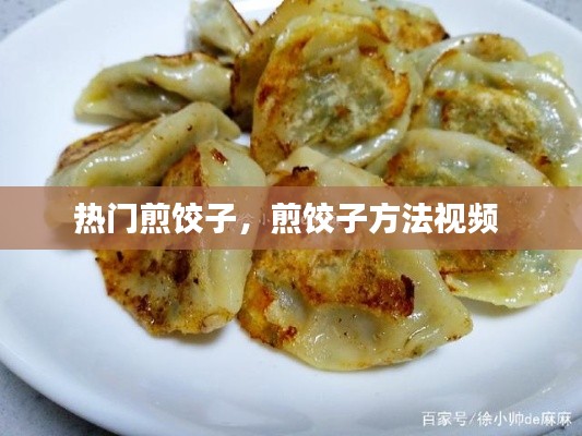 热门煎饺子，煎饺子方法视频 
