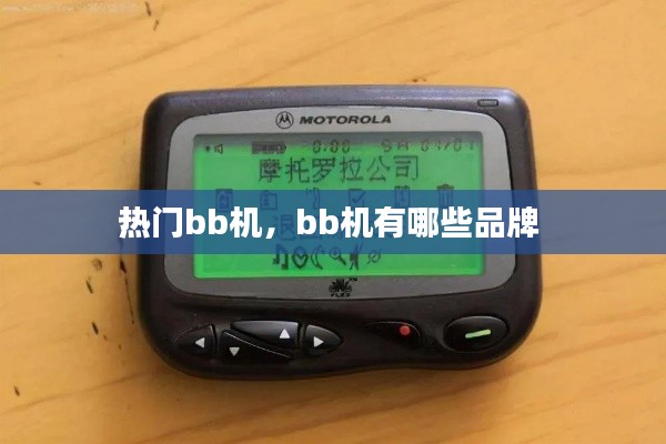 热门bb机，bb机有哪些品牌 