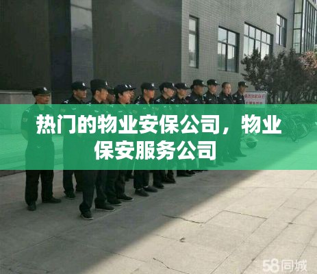 热门的物业安保公司,物业保安服务公司