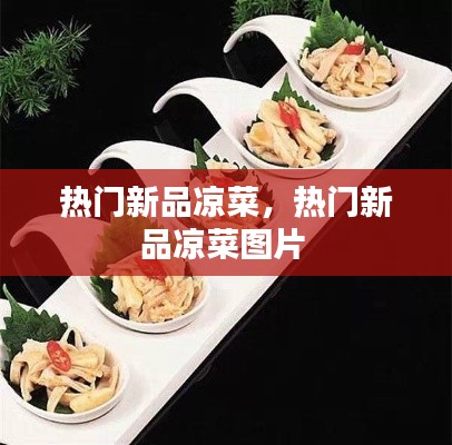 热门新品凉菜,热门新品凉菜图片