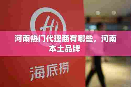 河南热门代理商有哪些,河南本土品牌