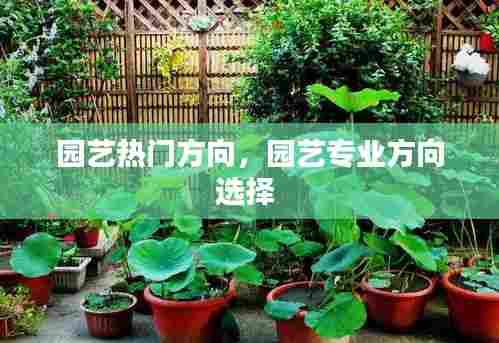 园艺热门方向，园艺专业方向选择 