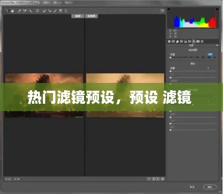 热门滤镜预设,预设 滤镜