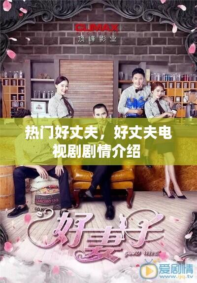 热门好丈夫，好丈夫电视剧剧情介绍 