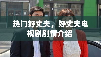 热门好丈夫,好丈夫电视剧剧情介绍