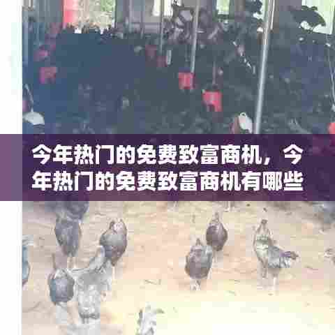 今年热门的免费致富商机,今年热门的免费致富商机有哪些