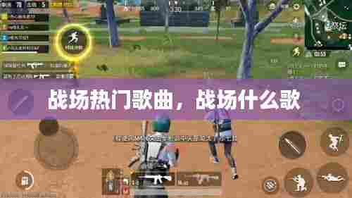 张冠李戴 第6页