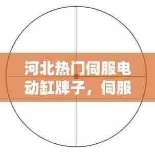 河北热门伺服电动缸牌子，伺服电动缸工作原理视频 