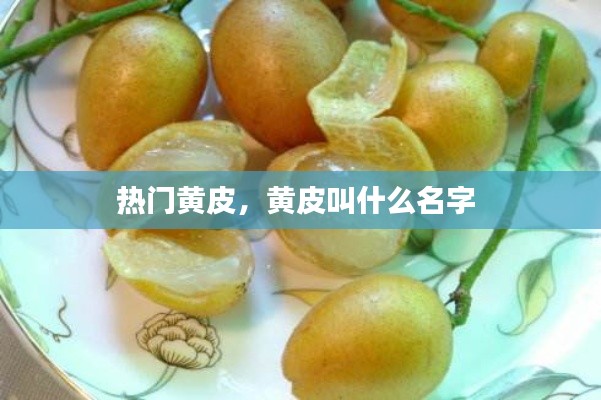 热门黄皮,黄皮叫什么名字
