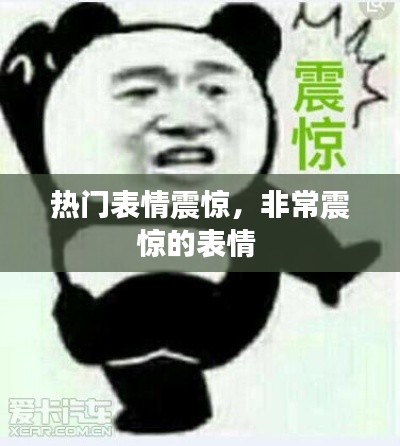 热门表情震惊,非常震惊的表情