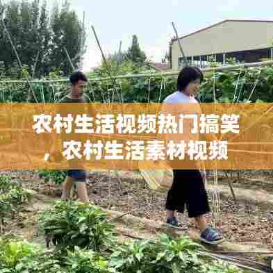 农村生活视频热门搞笑,农村生活素材视频