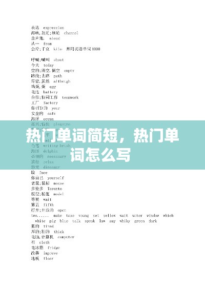 热门单词简短,热门单词怎么写