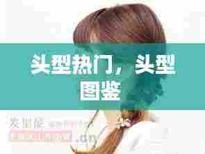 头型热门,头型图鉴