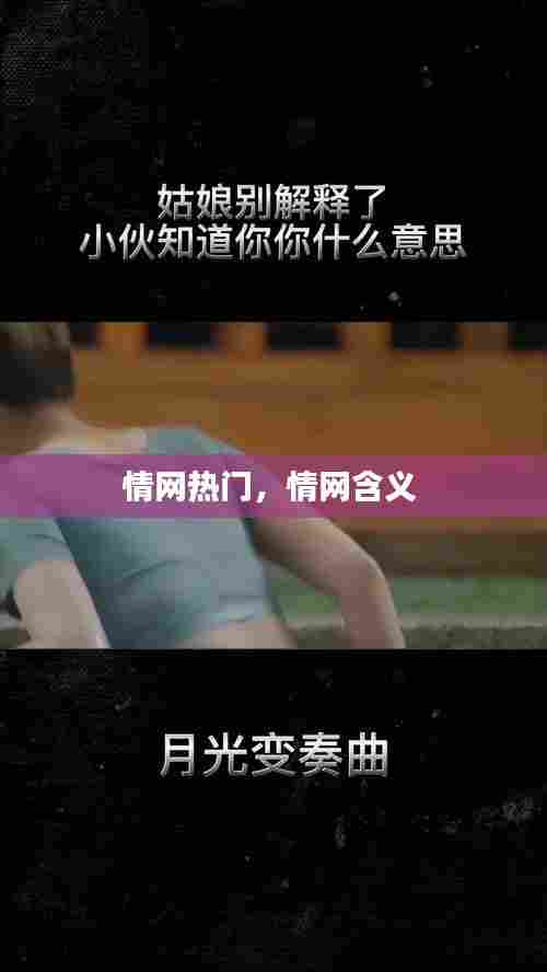 情网热门，情网含义 