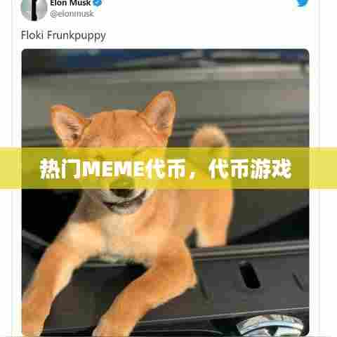 热门MEME代币,代币游戏
