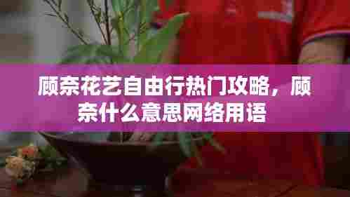 顾奈花艺自由行热门攻略，顾奈什么意思网络用语 