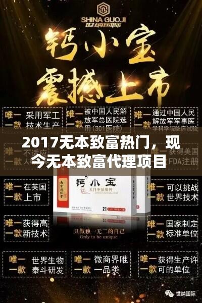 2017无本致富热门,现今无本致富代理项目