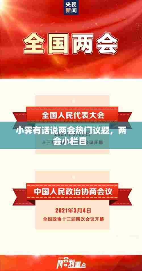 小霁有话说两会热门议题，两会小栏目 
