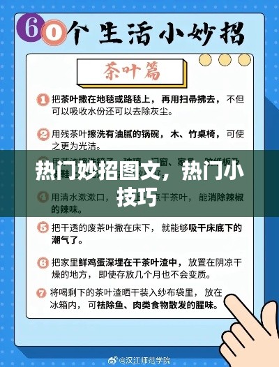 热门妙招图文,热门小技巧