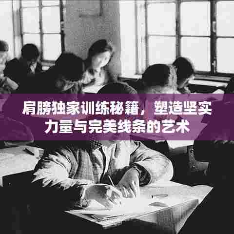 肩膀独家训练秘籍，塑造坚实力量与完美线条的艺术