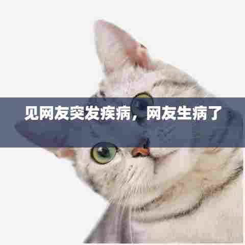 见网友突发疾病,网友生病了