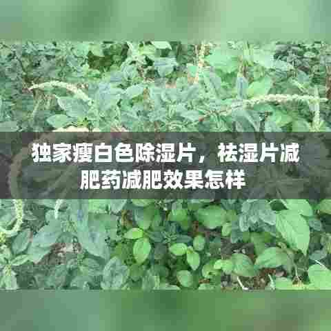 独家瘦白色除湿片，祛湿片减肥药减肥效果怎样 