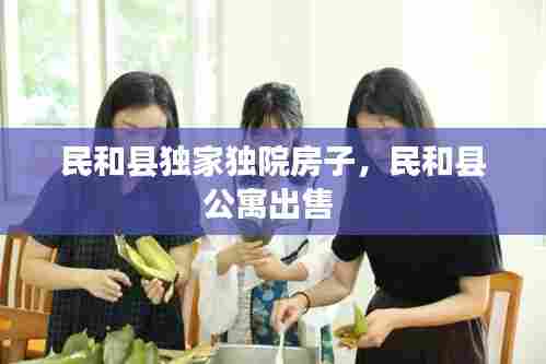 民和县独家独院房子，民和县公寓出售 