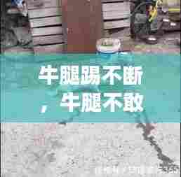 物以稀为贵 第8页