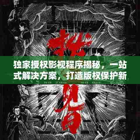 独家授权影视程序揭秘，一站式解决方案，打造版权保护新标杆！