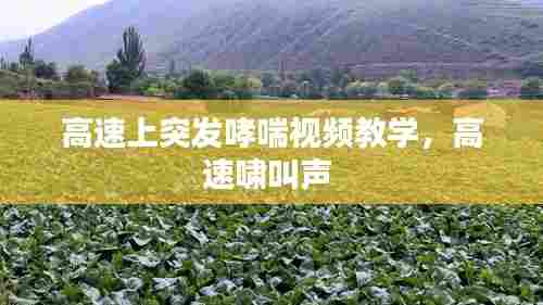 高速上突发哮喘视频教学，高速啸叫声 