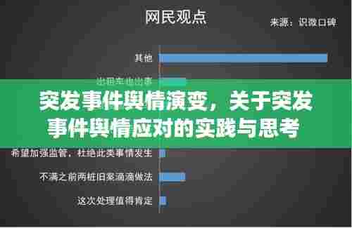 突发事件舆情演变,关于突发事件舆情应对的实践与思考